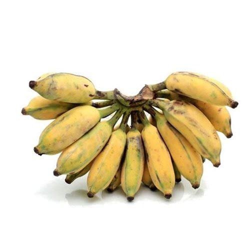  Banana Hill  500g